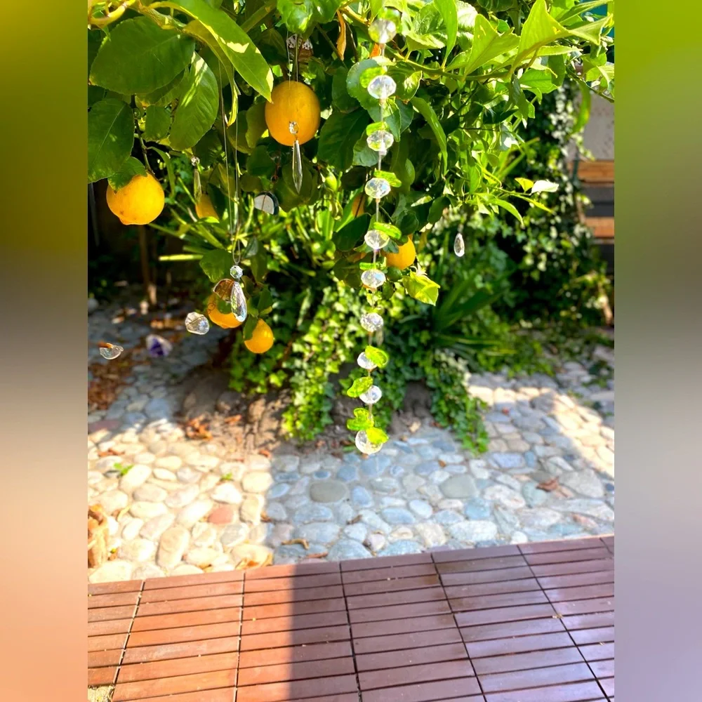 Sweet apple Sun Catcher